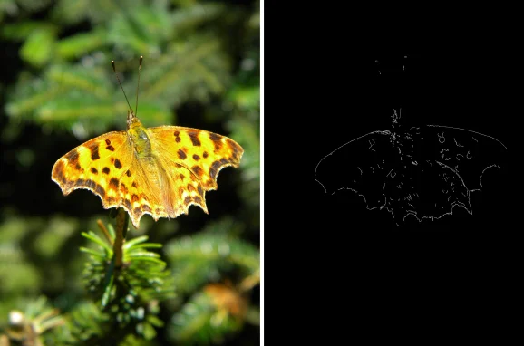 Advanced Edge Detection Techniques Using Python