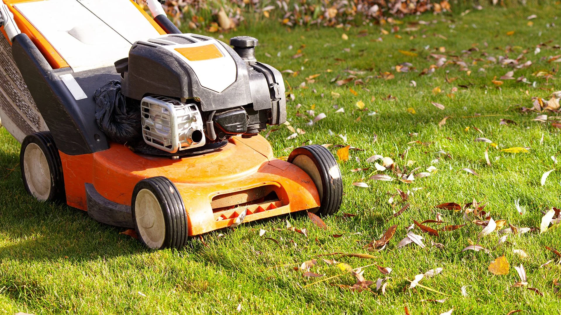 Mowing lawn in fall