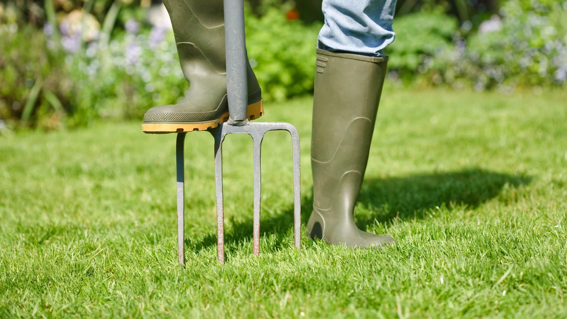 Aerating soil with fork